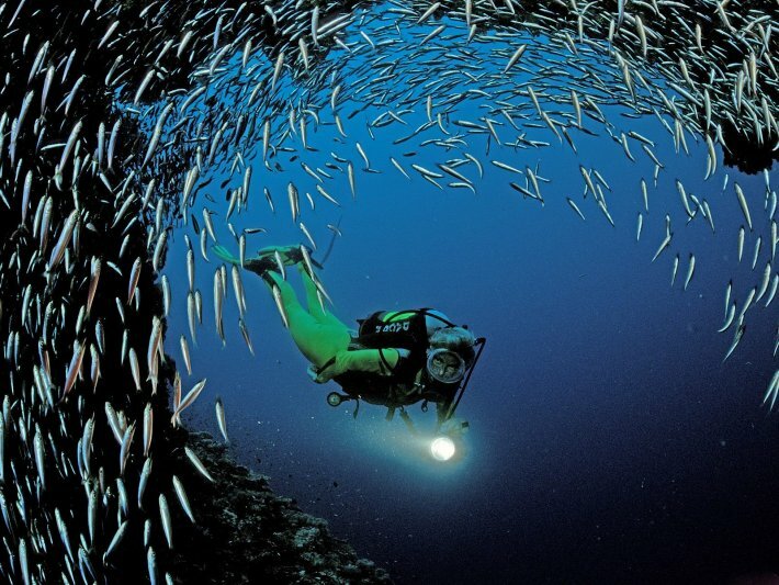 Paraty scuba diving 