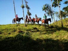 Horse Riding Excursions 