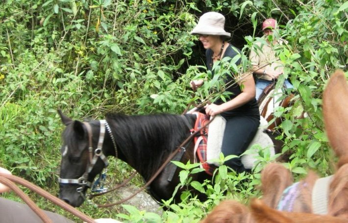 Horse rental in Paraty 