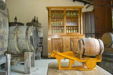 Excursions in Paraty: Distillery tours 